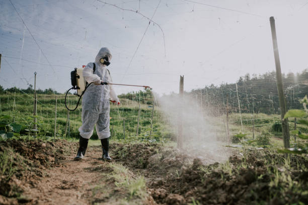 Best Pest Prevention Services  in Washington, UT