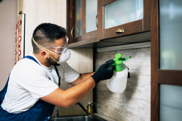 Best Pest Control for Homes  in Washington, UT