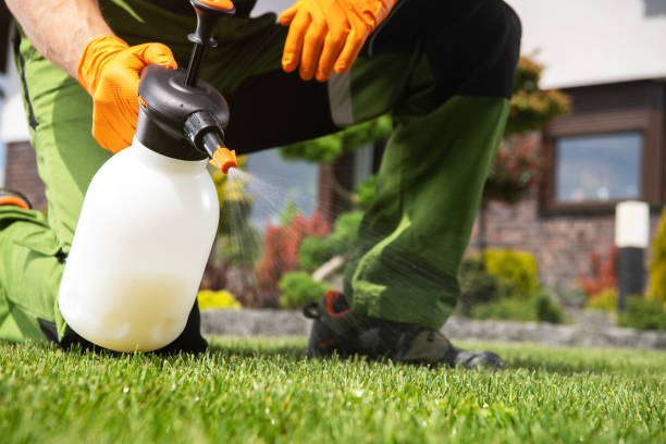 Best Insect Control  in Washington, UT
