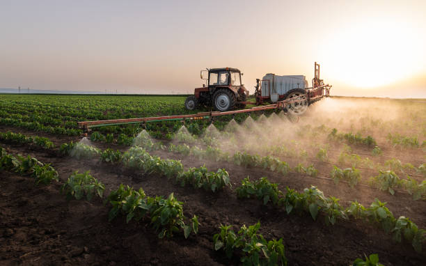 Pest Prevention Services in Washington, UT