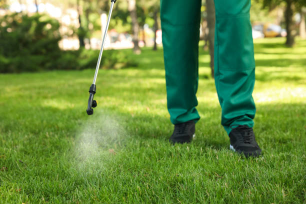 Best Mosquito Control Services  in Washington, UT