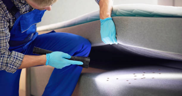 Best Flea Control Services  in Washington, UT