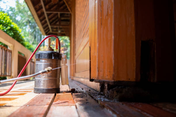 Best Pest Removal Services  in Washington, UT
