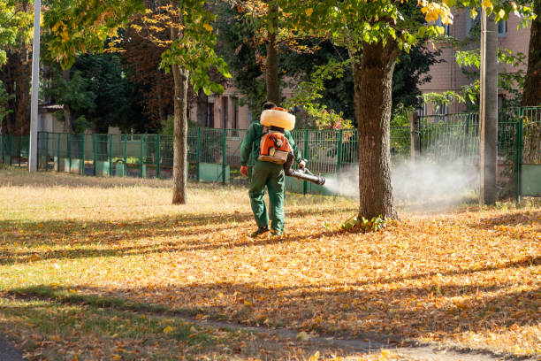 Best Local Pest Control Services  in Washington, UT