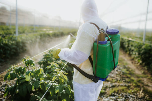 Best Bed Bug Extermination  in Washington, UT